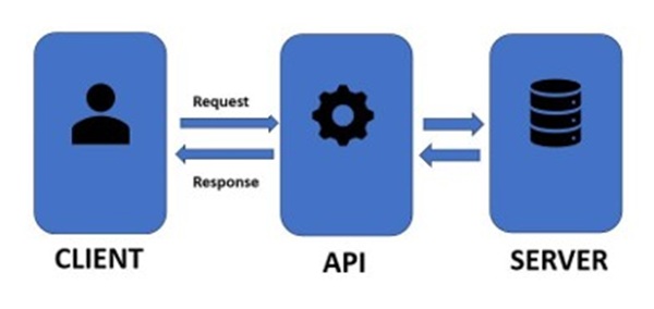 Local Web Server and MySQL